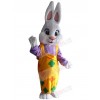 Bunny mascot costume