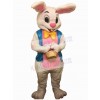 Easter Bunny Rabbit mascot costume