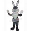 Easter Bunny Rabbit mascot costume