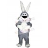 Easter Bunny Rabbit mascot costume