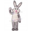 Easter Bunny Rabbit mascot costume