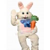 Easter Bunny Rabbit mascot costume