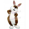 Easter Bunny Rabbit mascot costume