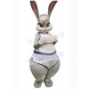 Easter Bunny Rabbit mascot costume