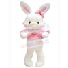 Easter Bunny Rabbit mascot costume