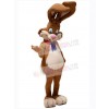 Easter Bunny Rabbit mascot costume