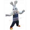 Easter Bunny Rabbit mascot costume