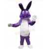 Easter Bunny Rabbit mascot costume