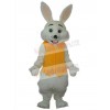 Easter Bunny Rabbit mascot costume