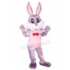 Easter Bunny Rabbit mascot costume