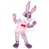 Easter Bunny Rabbit mascot costume