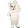 Easter Bunny Rabbit mascot costume
