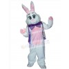 Easter Bunny Rabbit mascot costume