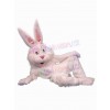 Easter Bunny Rabbit mascot costume
