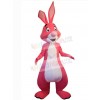 Easter Bunny Rabbit mascot costume