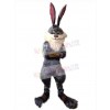 Easter Bunny Rabbit mascot costume