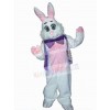 Easter Bunny Rabbit mascot costume