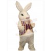 Easter Bunny Rabbit mascot costume