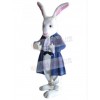 Easter Bunny Rabbit mascot costume