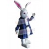 Easter Bunny Rabbit mascot costume