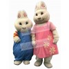 Easter Bunny Rabbit mascot costume