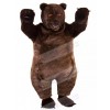 Bear mascot costume