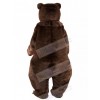 Bear mascot costume