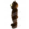 Bear mascot costume