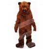 Bear mascot costume