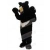 Bear mascot costume