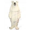 Bear mascot costume