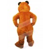 Bear mascot costume