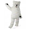 Bear mascot costume