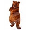 Bear mascot costume
