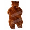 Bear mascot costume