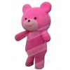 Bear mascot costume