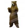 Bear mascot costume