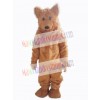 Bear mascot costume