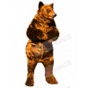 Bear mascot costume