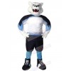 Bear mascot costume