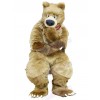 Bear mascot costume