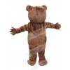 Bear mascot costume