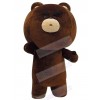 Bear mascot costume