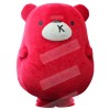 Bear mascot costume