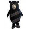 Bear mascot costume