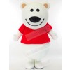 Bear mascot costume