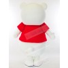 Bear mascot costume