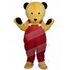 Bear mascot costume