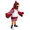 Cardinal Bird mascot costume