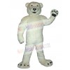 Bear mascot costume